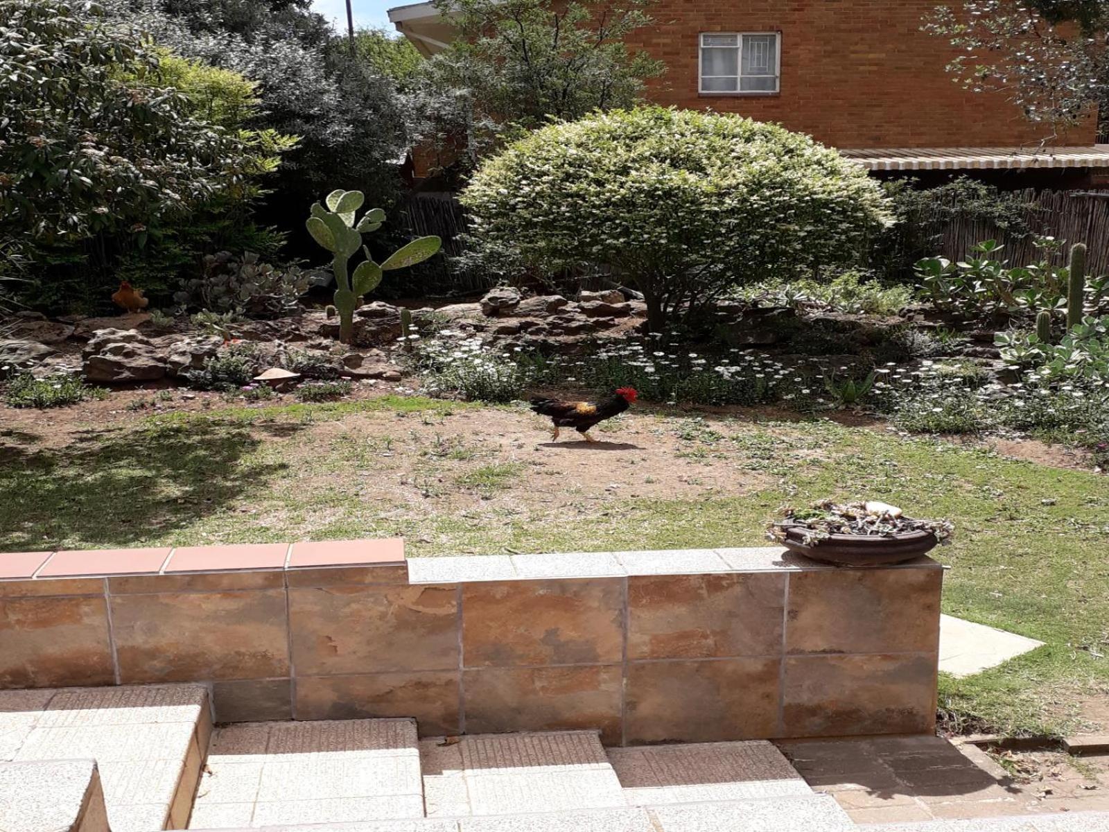 Aandrus Bnb Kestell Exterior foto